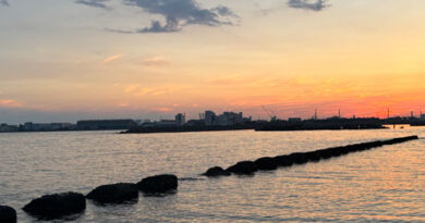 ◇ 船舶照明について